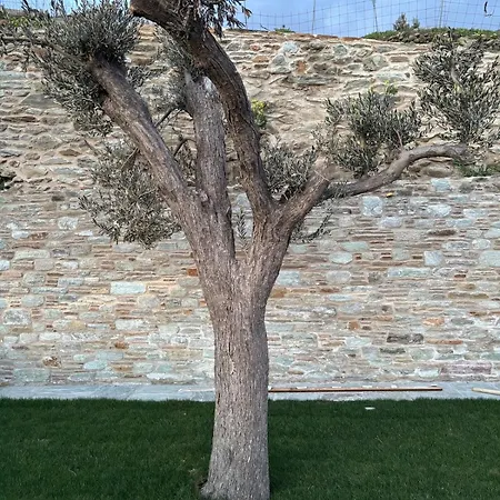 Casa vacanze Miramare Aegean *